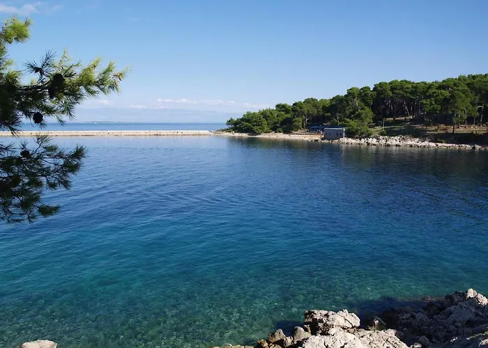 Rovenska 52 Lussingrande