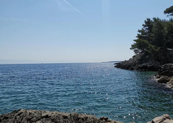 Apartament Rovenska 52 *